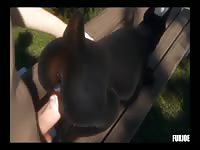Dog getting fucked in the pussy by gay hentai beastiality lover