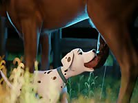 Dog giving blowjob to a horse dick in hentai beastiality xxx